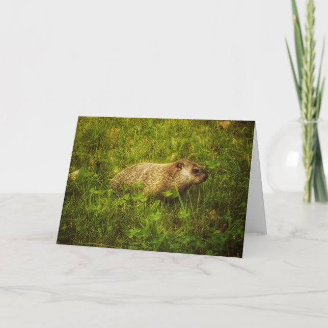 Groundhog in a field greeting card (Front)