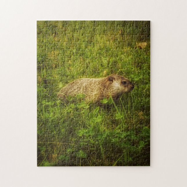 Groundhog in a field puzzle (Vertical)