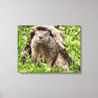 Groundhog in a Hollow Log