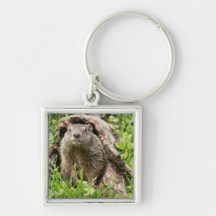 Groundhog in a Hollow Log Key Ring