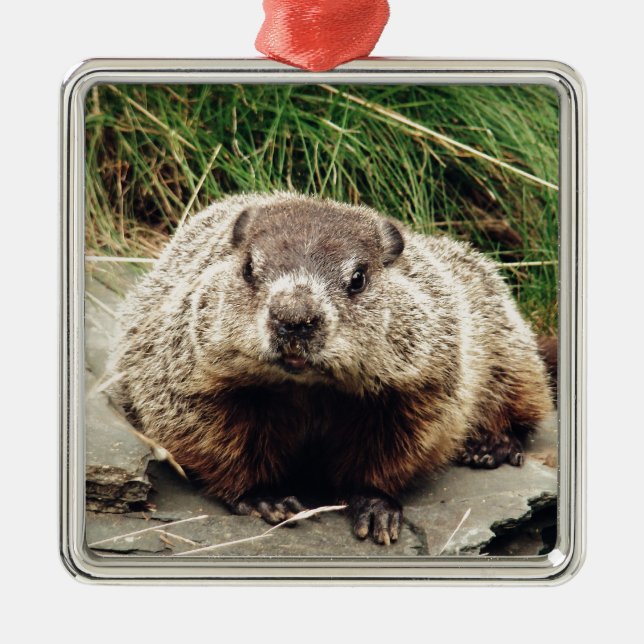 Groundhog Metal Tree Decoration (Front)