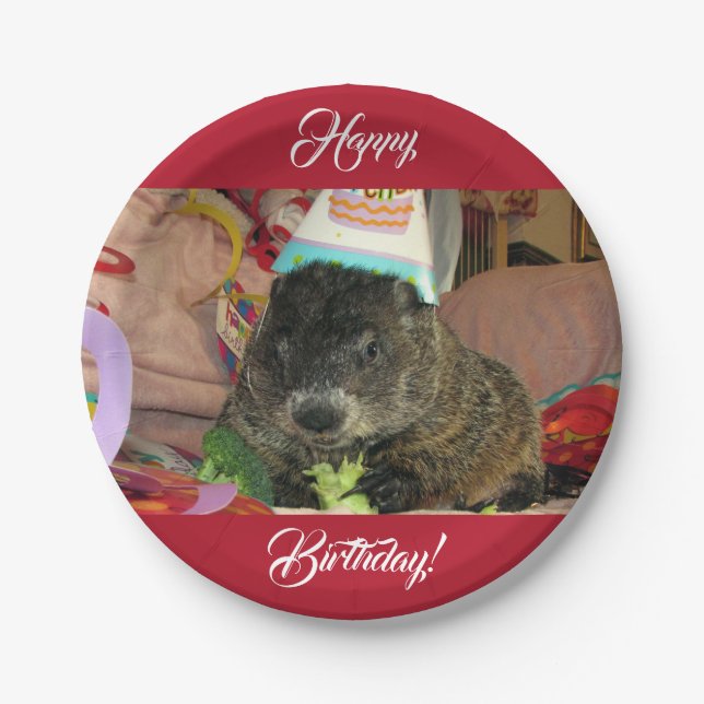 Groundhog Moses Birthday Paper Plates (Front)