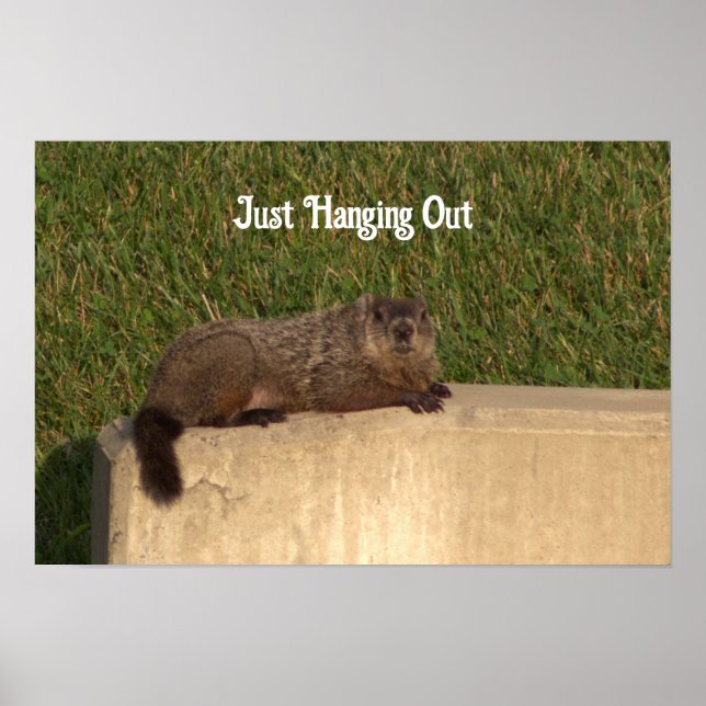 Groundhog on a Wall Poster (Front)