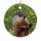 Groundhog Pose