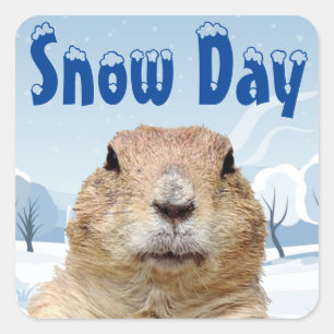 Groundhog Snow Day Square Sticker