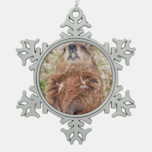 Groundhog Snowflake Pewter Christmas Ornament