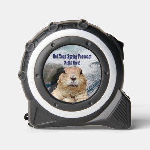 Groundhog Spring Forecast 1