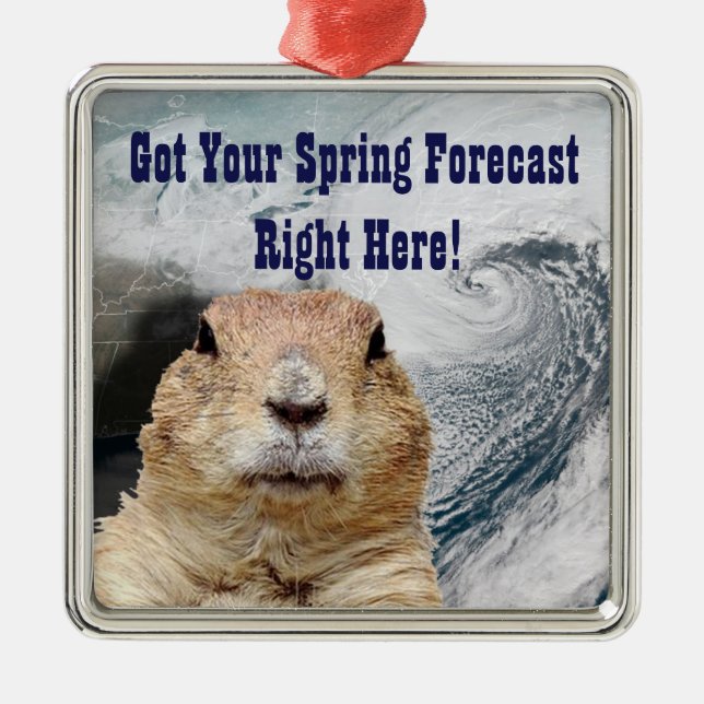 Groundhog Spring Forecast Metal Tree Decoration (Front)