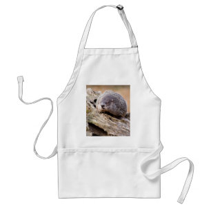 Groundhog Standard Apron