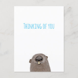 Groundhog thinking of you postcard