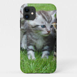 Group of adorable kittens. Case-Mate iPhone case