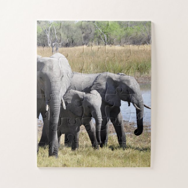Group of African Elephants in Front of Water Hole Jigsaw Puzzle (Vertical)