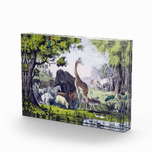 Group of animals photo block
