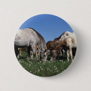 Group of Appaloosa Horses Grazing 6 Cm Round Badge