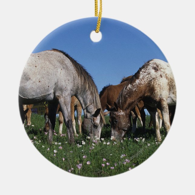Group of Appaloosa Horses Grazing Ceramic Tree Decoration (Front)