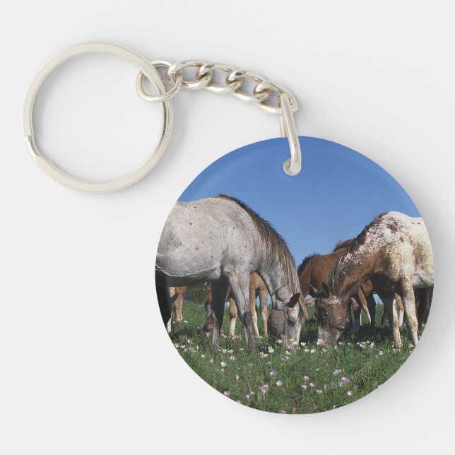 Group of Appaloosa Horses Grazing Key Ring (Front)