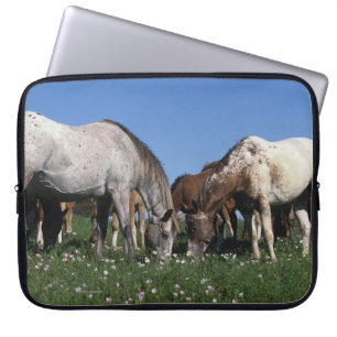Group of Appaloosa Horses Grazing Laptop Sleeve