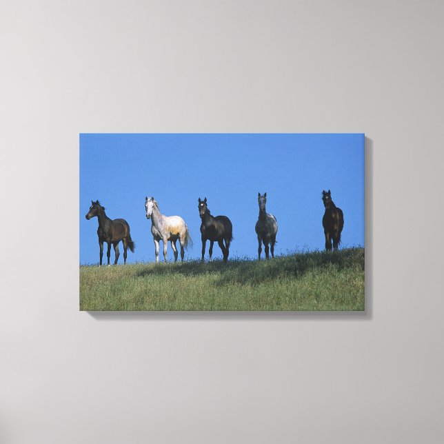 Group of Arabs Canvas Print (Front)