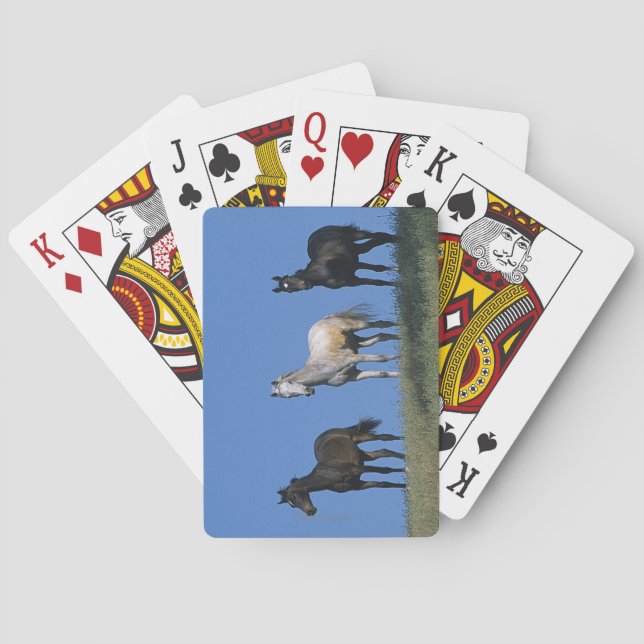 Group of Arabs Playing Cards (Back)