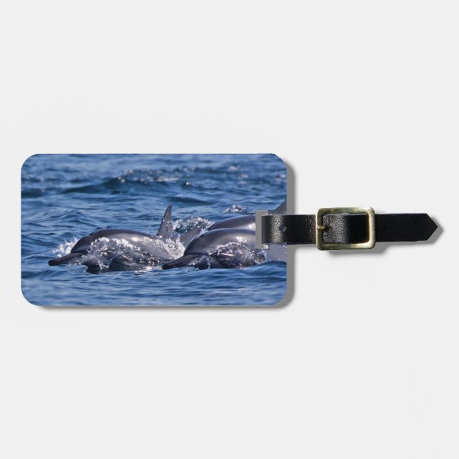 Group of bottlenose dolphins - Oman Luggage Tag (Front Horizontal)