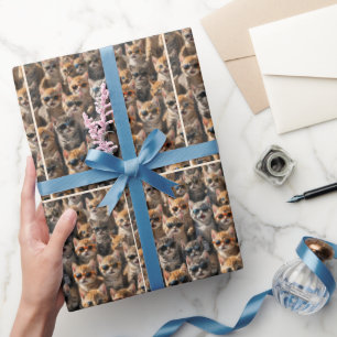 Group of Cats with Sunglasses Wrapping Paper