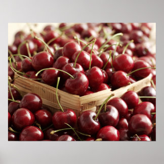 Group of cherries in punnett poster