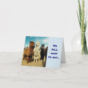 GROUP OF **CONGRATULATIONS GOOD NEWS** CARD