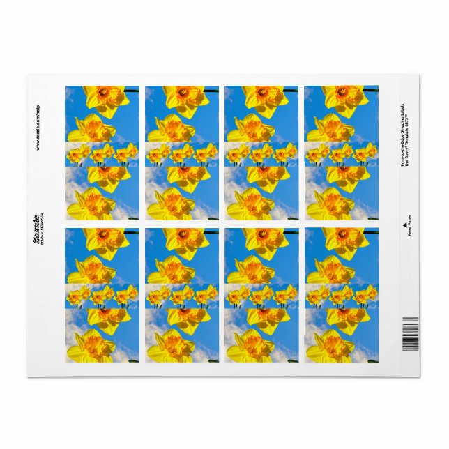 Group of Daffodils Gold Medal flowers (Full Sheet)