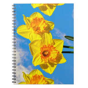 Group of Daffodils Gold Medal flowers Notebook