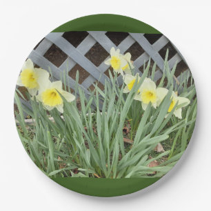 Group of Daffodils Paper Plate