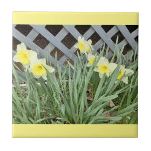 Group of Daffodils Tile