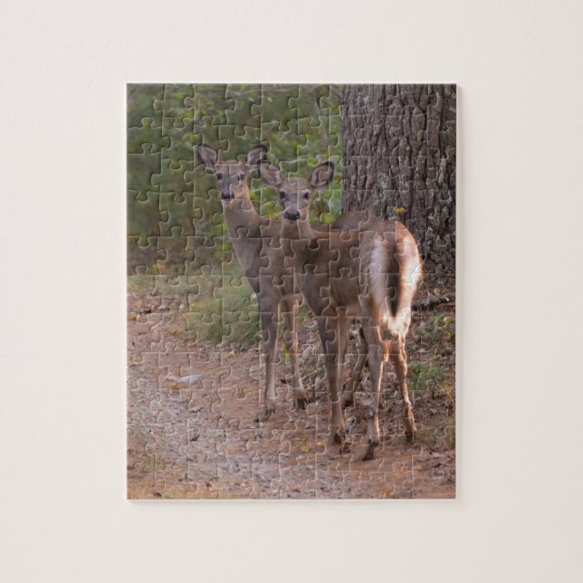 Group of Deer Jigsaw Puzzle (Vertical)