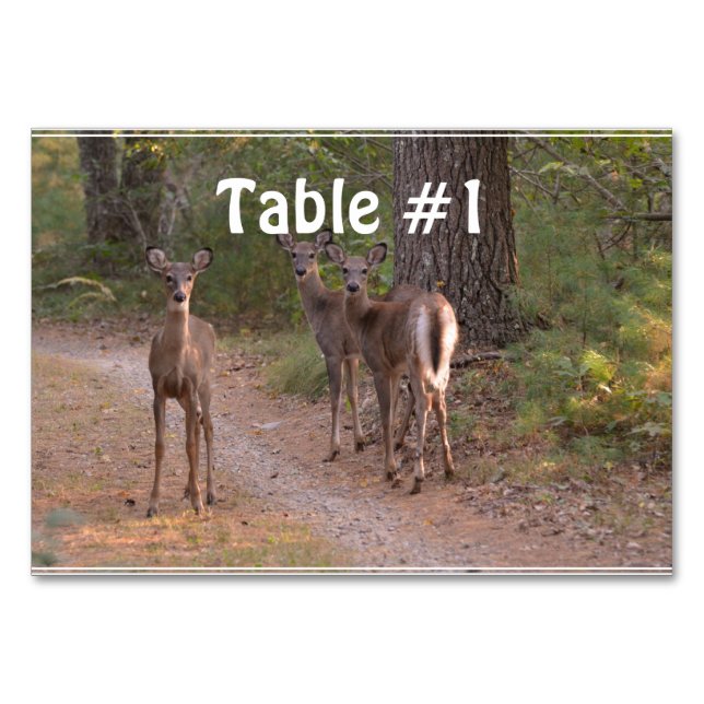 Group of Deer Table Number (Front)