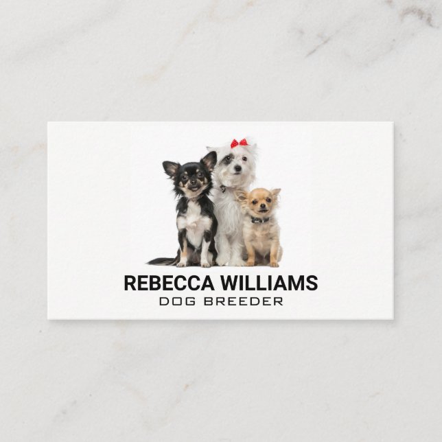 Group of Dogs | Animal Services Business Card (Front)