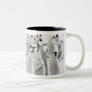 Group of Emperor penguins (Aptenodytes forsteri) Two-Tone Coffee Mug