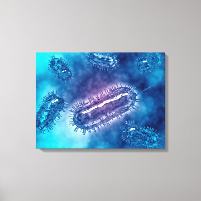 Group Of Escherichia Coli Bacteria Cells 1 Canvas Print (Front)