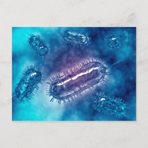 Group Of Escherichia Coli Bacteria Cells 1 Postcard