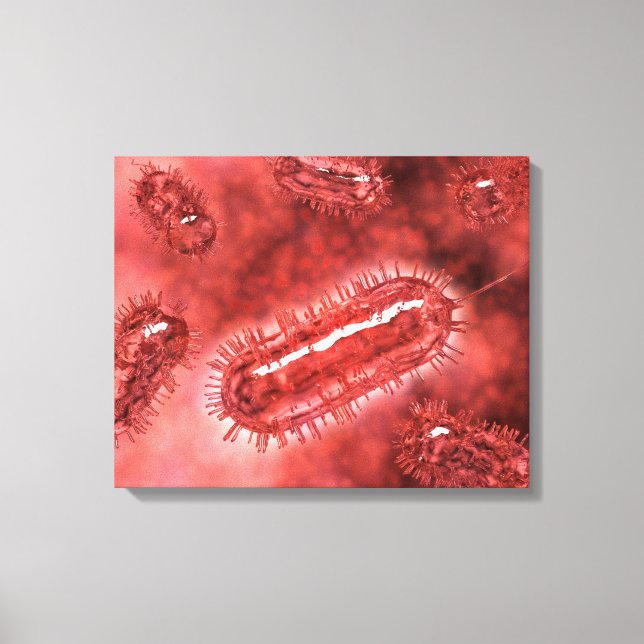 Group Of Escherichia Coli Bacteria Cells 2 Canvas Print (Front)