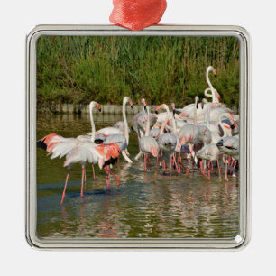 Group of flamingos in Camargue Metal Tree Decoration