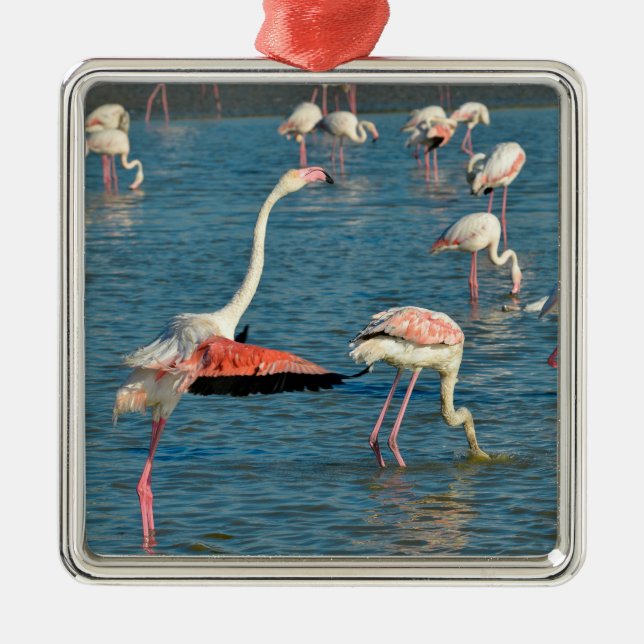 Group of flamingos in Camargue    Metal Tree Decoration (Front)