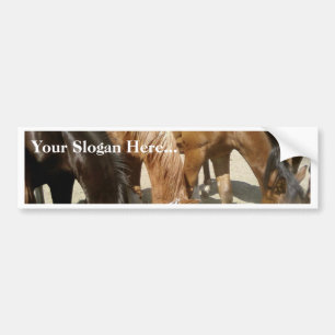 Group Of Horses Bumper Sticker