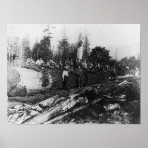 Group of Lumberjacks on Large Log Photograph Poster