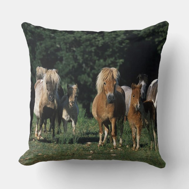 Group of Miniature Foals Cushion (Front)
