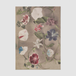 Group of Morning Glories by Ogawa Kazumasa Tissue Paper