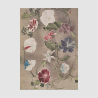 Group of Morning Glories by Ogawa Kazumasa Tissue Paper