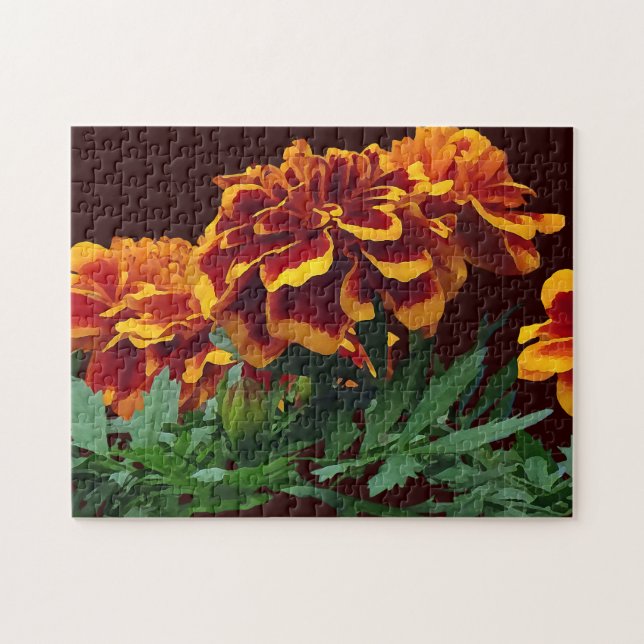 Group of Orange Marigolds With Yellow Tips Jigsaw Puzzle (Horizontal)