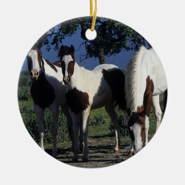 Group of Paint Horses Ceramic Tree Decoration (Front)