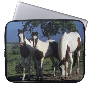 Group of Paint Horses Laptop Sleeve