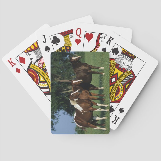 Group of Paint Horses Standing Playing Cards (Back)