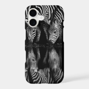 Group of Plains Zebra Drink Together at Night